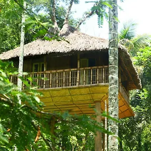 Kalidasa Tree House And Villa, Wayanad Villa